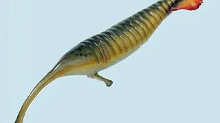 "Монстр Тулли" оказался не рыбой