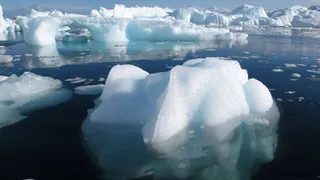 Ученые предсказывают в скором времени Третью мировую войну 