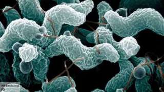 Смертельные бактерии унесут жизни 10 миллионов человек 