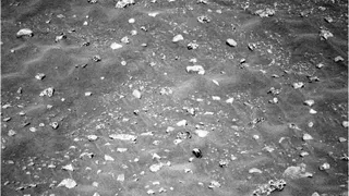 Марсианские улитки