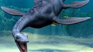 Учеными найдены останки динозавра, который проживал 127 млн лет назад