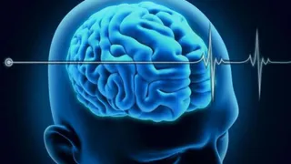 Ученым удалось зафиксировать работу мозга после смерти человека