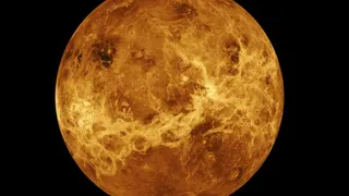 Возобновление полетов на Венеру