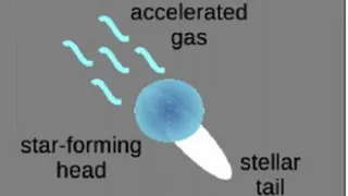 Южнокорейские ученые обнаружили галактику, похожую на медузу