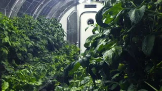 Для колонизации Луны и Марса будут созданы инновационные теплицы