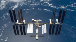 Найдены способные выжить в космосе споры земных бактерий