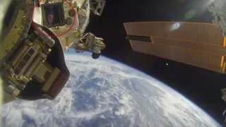 В иллюминаторе МКС в открытом космосе отразился человек в синей шапке