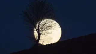 На Луне были найдены залежи водяного льда на южном полюсе