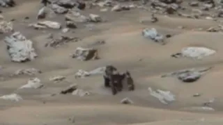 На Марсе уфологи обнаружили гигантского краба