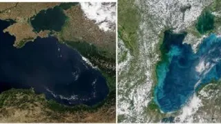 Чёрное море уже не такое чёрное