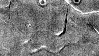 На Марсе обнаружили человеческое лицо