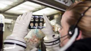Российские ученые отправят в космос стволовые клетки