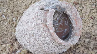 В Индонезии обнаружили инопланетный кувшин