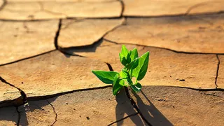 Аэрозоли доведут Землю до смерти