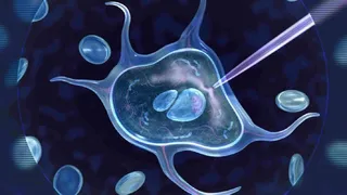 Ученые назвали пять путей к вечной жизни