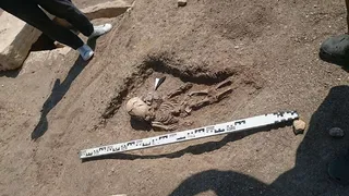 В Крыму откопали "инопланетянина"