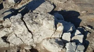 Ученые доказали реальность одной из библейских историй – сожжения вавилонянами Иерусалима