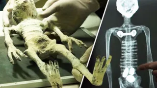 В одной из мумий Наска найдены яйца. Ученые сомневаются в подлинности находки