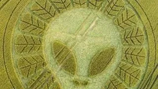 Круги на полях Липецкой области