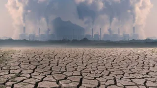 К концу века в Европе могут погибнуть до 150 000 человек