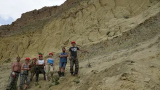 Томские палеонтологи обнаружили в Красноярском крае новое местонахождение динозавров и мамонтов