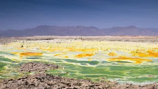 Ученые обнаружили формы жизни в кислоте