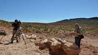 Палеонтологи откопали в Аргентине динозавра размером с "Боинг-737"