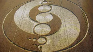 Британскому уфологу удалось снять на видео НЛО. Круги на полях