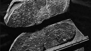 Геологи нашли след человека, которому полмиллиарда лет