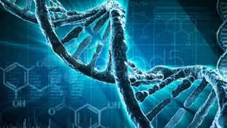 В NASA хотят внедрить редактуру ДНК астронавтов