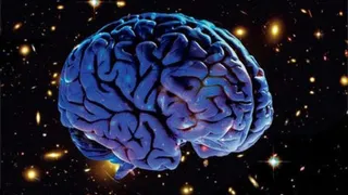 Учёные выяснили, что происходит с мозгом в невесомости