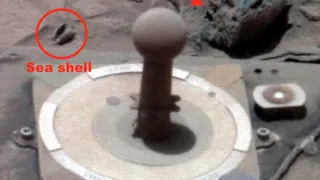 Уфологи обнаружили сразу три признака инопланетной жизни на Марсе