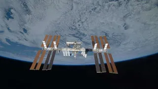 Есть ли внеземные бактерии на МКС