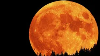 Суперлуние можно было наблюдать 31 января по всей России