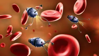 Объединенные Арабские Эмираты планируют создать первый в истории космический госпиталь