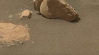 На Марсе найдена голова статуи львицы