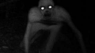 Уфологи шокированы фотографией пришельца в Мичигане