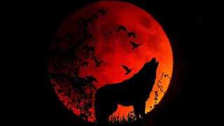 Конспирологи объяснили «кровавую Луну»