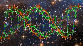 На МКС впервые провели эксперимент по редактированию ДНК
