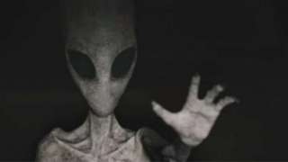 В Подмосковье реального пришельца сняли на видео с очень близкого расстояния