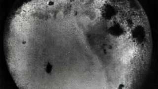 В Сети появились снимки обратной стороны Луны, сделанные 60 лет назад