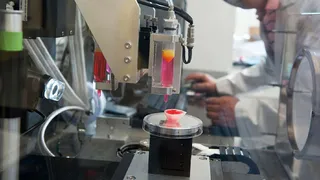 На МКС с помощью биопринтера напечатают кости