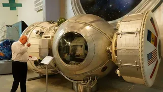 Россия запустит в космос биоспутник с живыми организмами