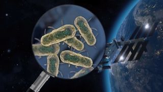 Японские ученые доказали возможность путешествий бактерий между планетами