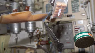 Российские космонавты могут перейти на американские рационы питания