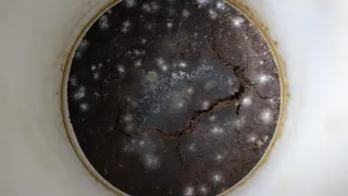 На МКС были выявлены повышенные показатели по уровню плесневых форм грибов