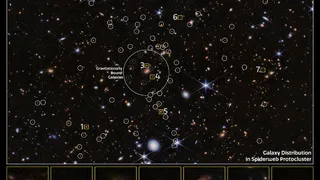 Новые галактики в протокластере Паутина: открытие с помощью телескопа Джеймса Уэбба