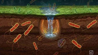 Глубоко под землей найдена новая форма жизни: что скрывают недра планеты?