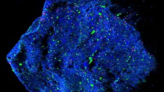 В недрах астероида Рюгу скрывалась внеземная загадка, способная переписать историю нашей Солнечной системы.