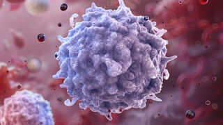 Как омолодить иммунитет: новая методика с использованием mRNA и печени